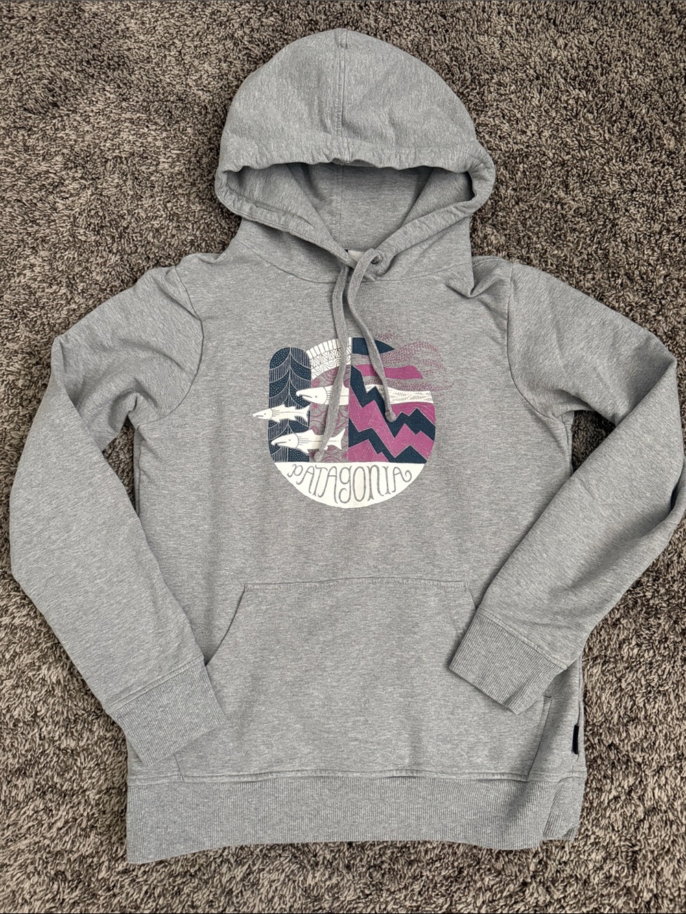 Patagonia Gray Graphic Hoodie XS
